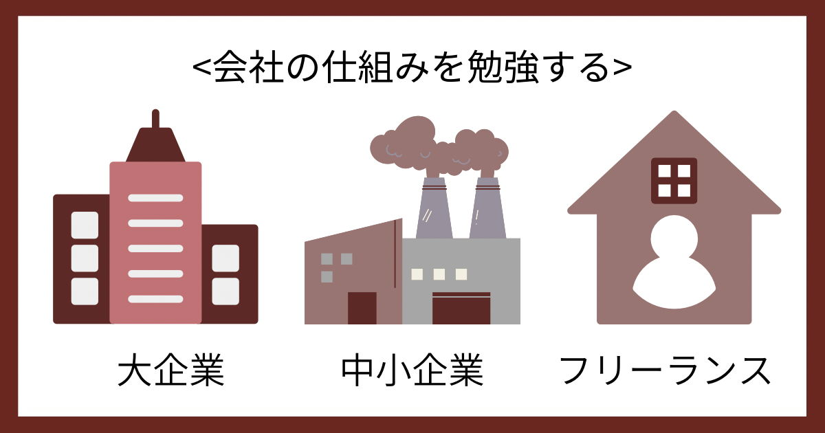 会社の仕組みを勉強するの画像